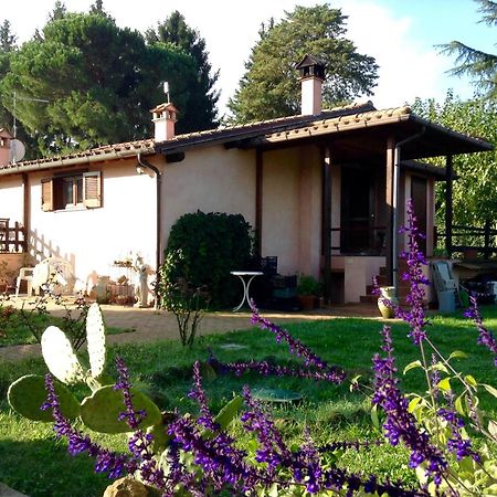 Bed and Breakfast Olive Tree Hill Zagarolo Zewnętrze zdjęcie