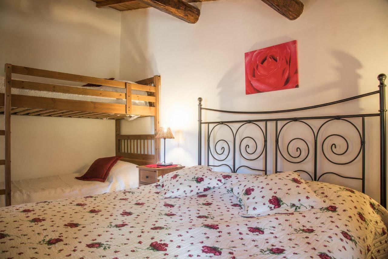 Bed and Breakfast Olive Tree Hill Zagarolo Zewnętrze zdjęcie